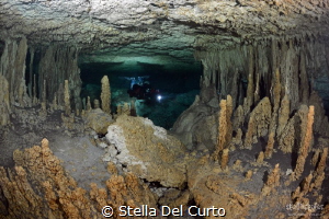 Aktun Ha cave (Car Wash) - Downstream section by Stella Del Curto 